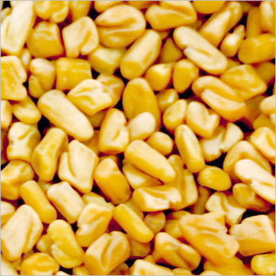 Fenugreek Seeds